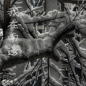 美女黑洞洞被人操
